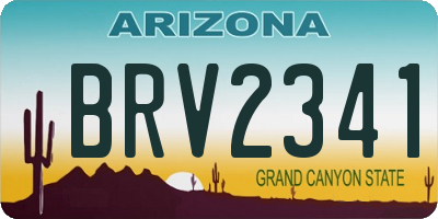 AZ license plate BRV2341