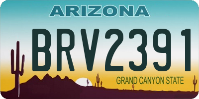 AZ license plate BRV2391