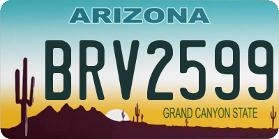AZ license plate BRV2599