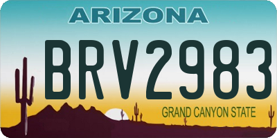 AZ license plate BRV2983