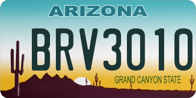 AZ license plate BRV3010