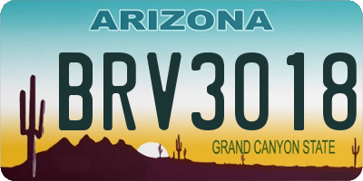 AZ license plate BRV3018