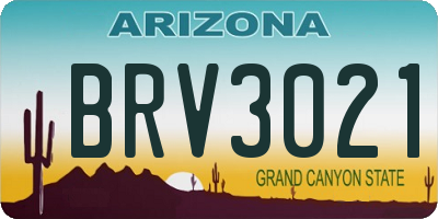AZ license plate BRV3021