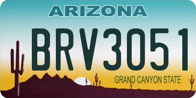 AZ license plate BRV3051