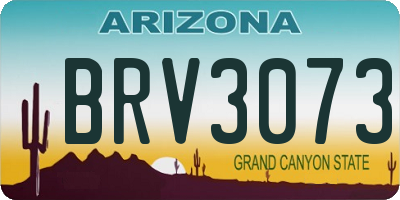AZ license plate BRV3073