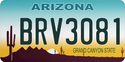 AZ license plate BRV3081