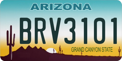 AZ license plate BRV3101