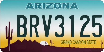 AZ license plate BRV3125