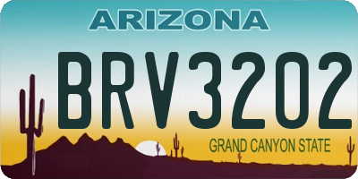 AZ license plate BRV3202