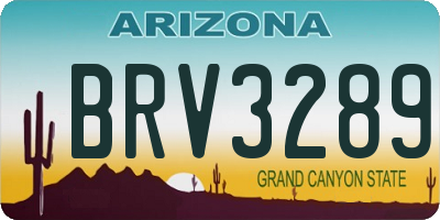 AZ license plate BRV3289