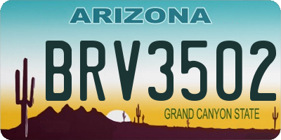 AZ license plate BRV3502