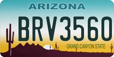 AZ license plate BRV3560