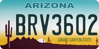AZ license plate BRV3602