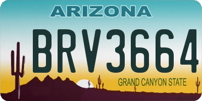 AZ license plate BRV3664