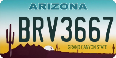 AZ license plate BRV3667