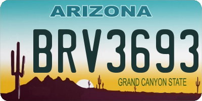AZ license plate BRV3693