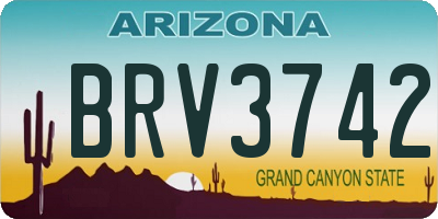 AZ license plate BRV3742