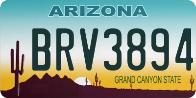 AZ license plate BRV3894