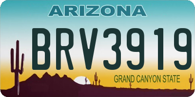 AZ license plate BRV3919
