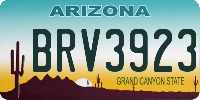 AZ license plate BRV3923