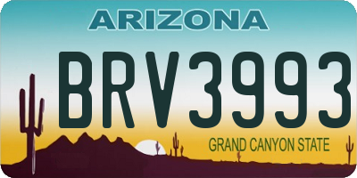 AZ license plate BRV3993