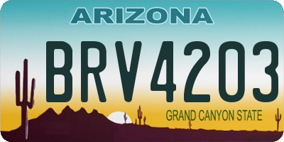 AZ license plate BRV4203