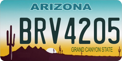 AZ license plate BRV4205