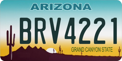 AZ license plate BRV4221