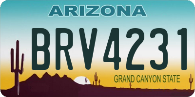 AZ license plate BRV4231