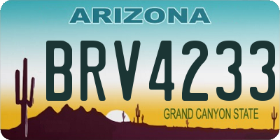 AZ license plate BRV4233