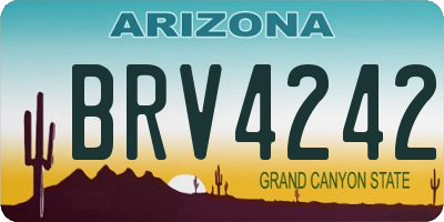 AZ license plate BRV4242
