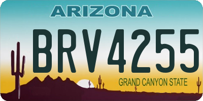 AZ license plate BRV4255