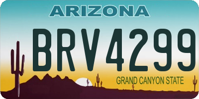 AZ license plate BRV4299