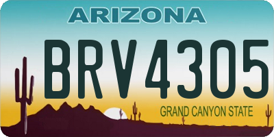 AZ license plate BRV4305