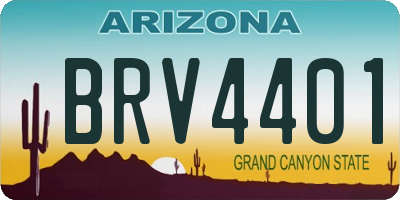 AZ license plate BRV4401