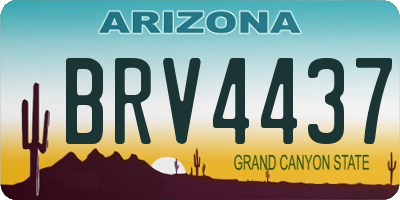 AZ license plate BRV4437