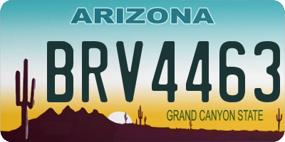 AZ license plate BRV4463