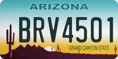 AZ license plate BRV4501