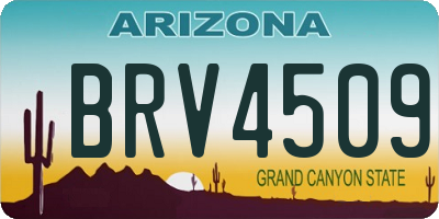 AZ license plate BRV4509