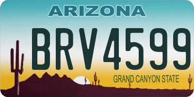 AZ license plate BRV4599