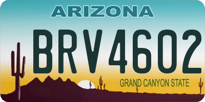 AZ license plate BRV4602