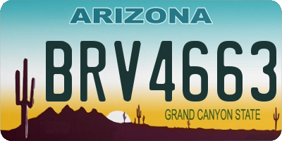 AZ license plate BRV4663