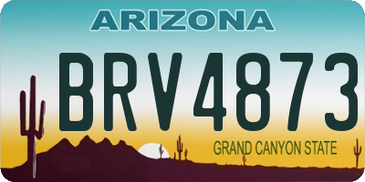 AZ license plate BRV4873