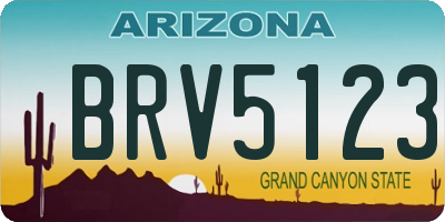 AZ license plate BRV5123