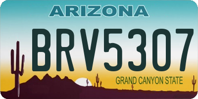 AZ license plate BRV5307
