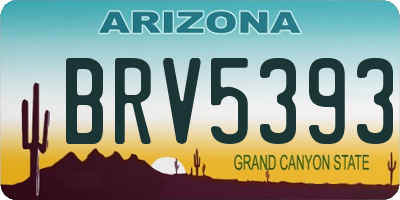 AZ license plate BRV5393