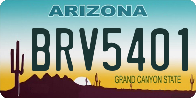 AZ license plate BRV5401