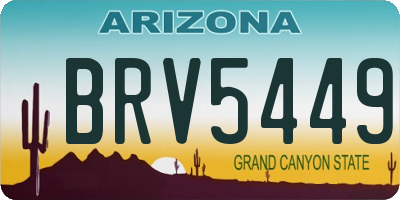 AZ license plate BRV5449