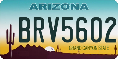 AZ license plate BRV5602