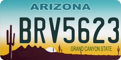 AZ license plate BRV5623